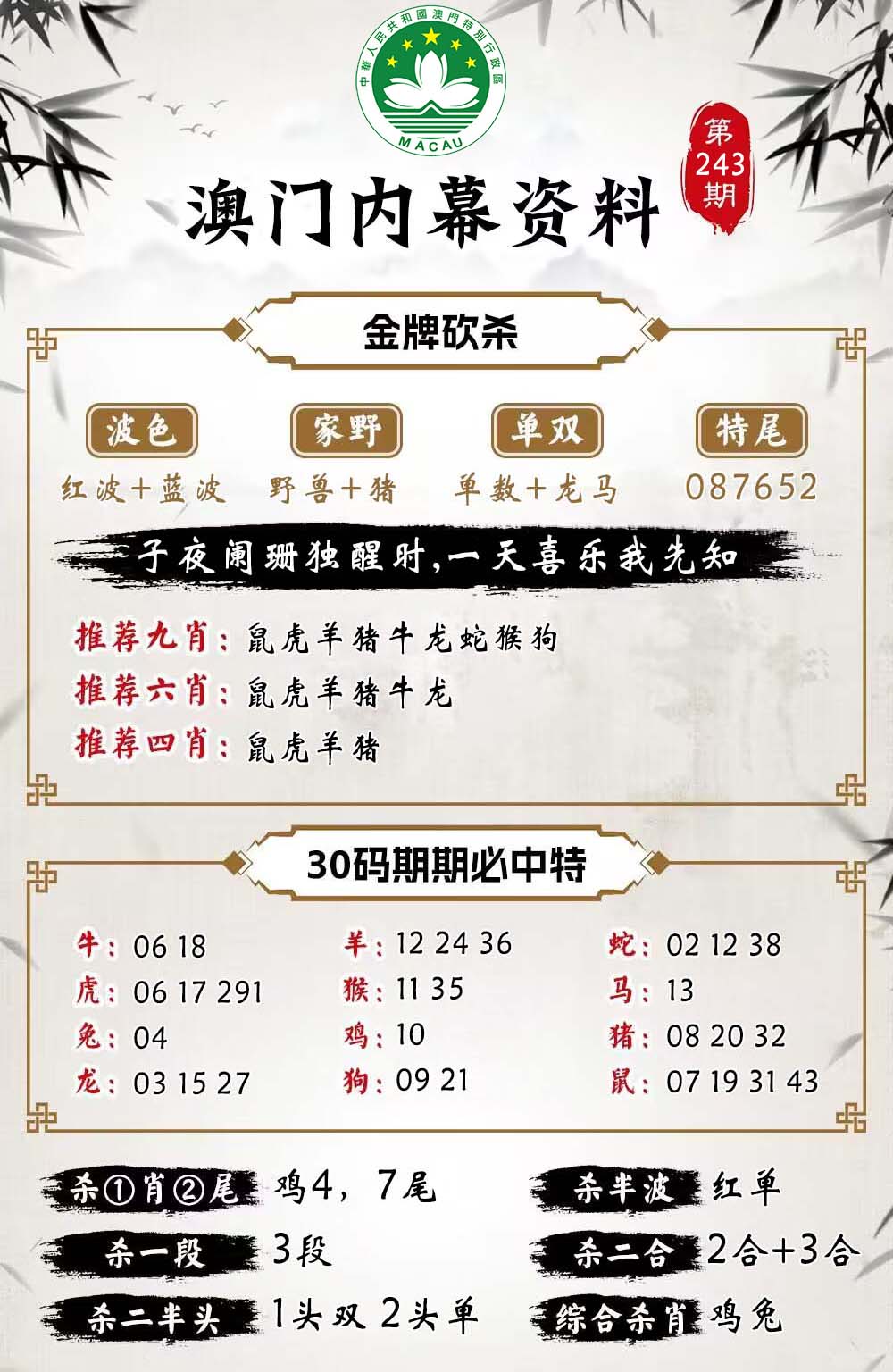 243期