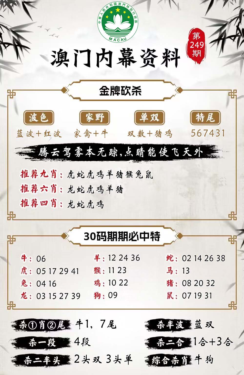 249期