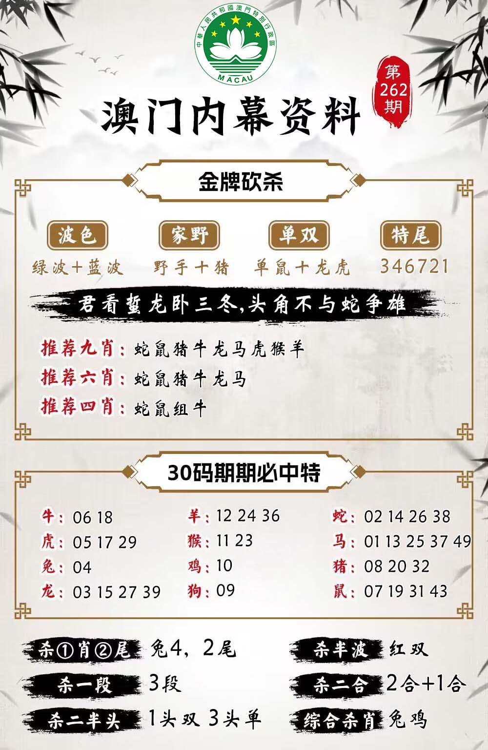 262期